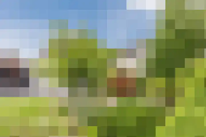 Boekelsedijk 5 Uden thumbnail 66