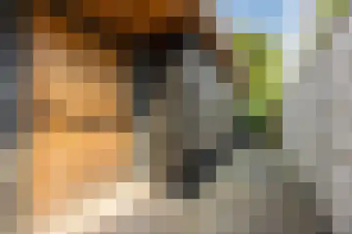 Boekelsedijk 5 Uden thumbnail 71