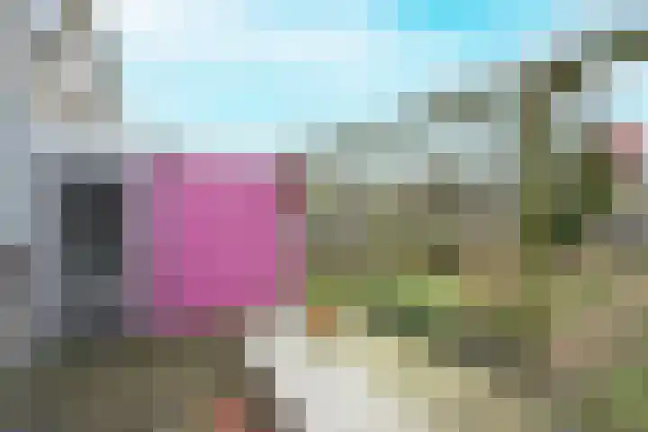Boekelsedijk 5 Uden thumbnail 76