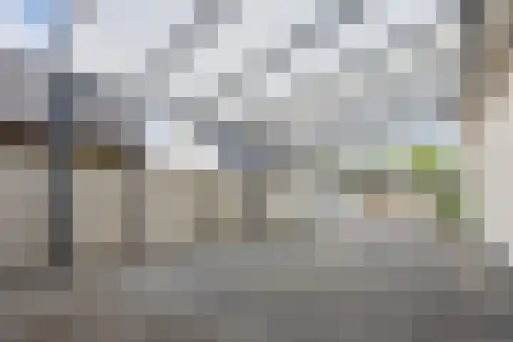 Boekelsedijk 5 Uden thumbnail 9