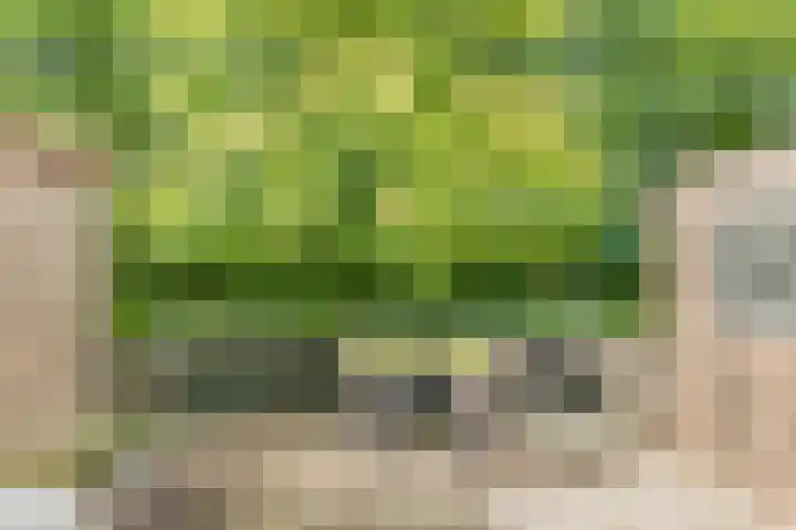 Boekenstein 103 Heiloo thumbnail 21