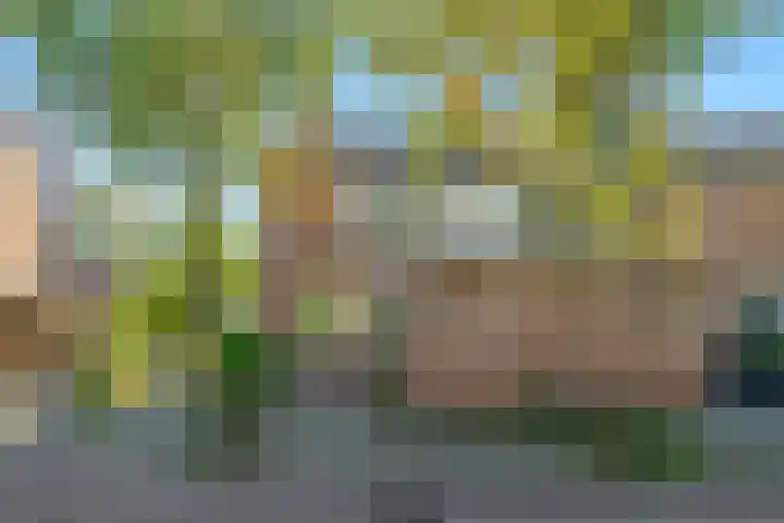 Boekenstein 61 Heiloo thumbnail 40