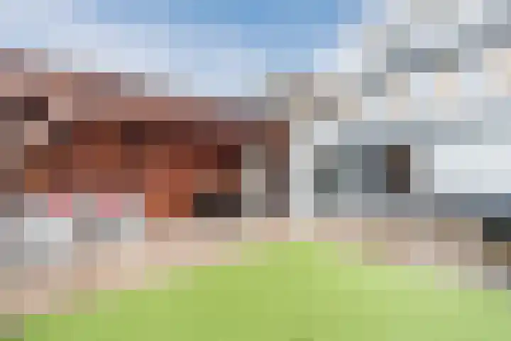 Boekweit 22 Mierlo foto 2
