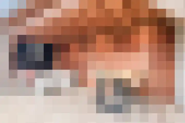 Boekweit 22 Mierlo thumbnail 38