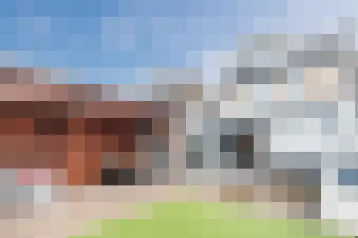 Boekweit 22 Mierlo thumbnail 39