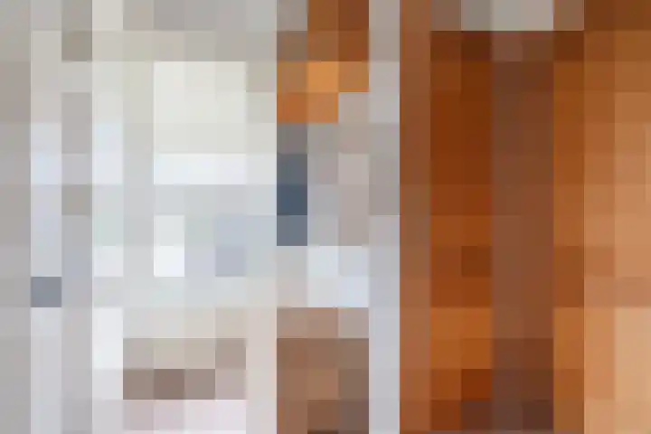 Boekweit 22 Mierlo thumbnail 6