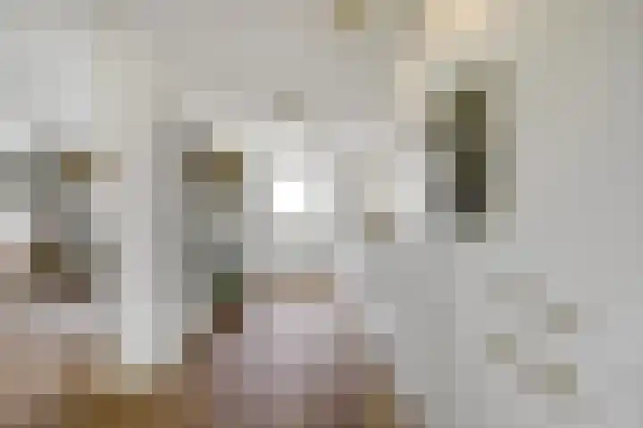 Boekweit 53 Eersel thumbnail 15