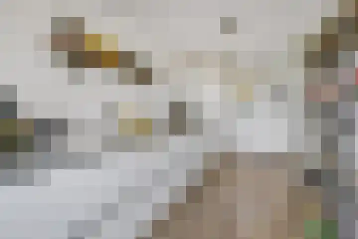 Boekweit 53 Eersel thumbnail 18