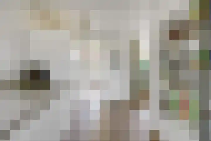 Boekweit 53 Eersel thumbnail 19