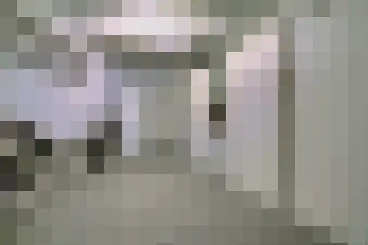 Boekweit 53 Eersel thumbnail 23
