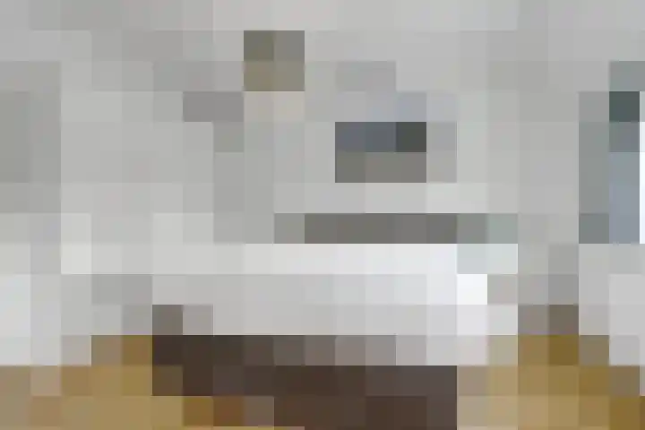 Boekweit 53 Eersel thumbnail 25