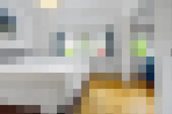 Boekweit 53 Eersel thumbnail 26