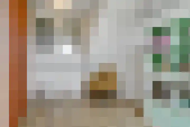 Boekweit 53 Eersel thumbnail 35