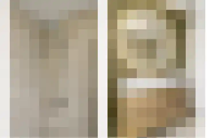 Boekweit 53 Eersel thumbnail 37