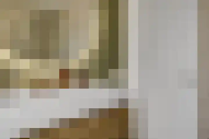 Boekweit 53 Eersel thumbnail 38
