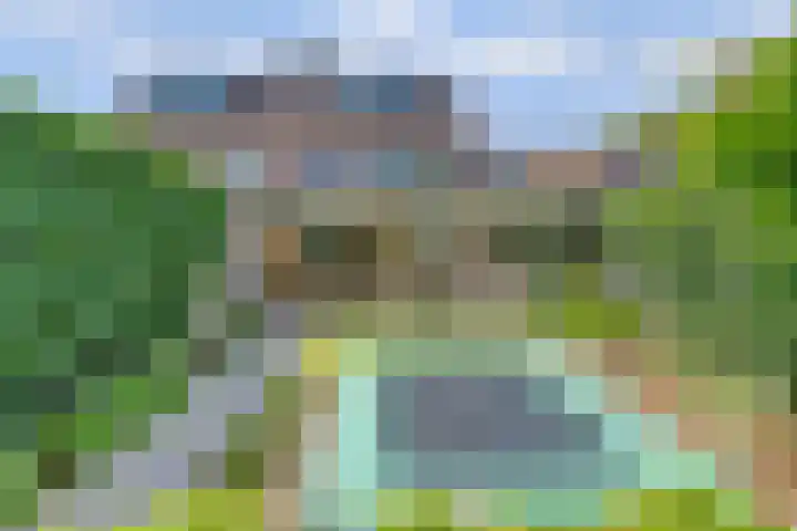 Boekweit 53 Eersel thumbnail 4