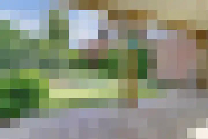 Boekweit 53 Eersel thumbnail 42