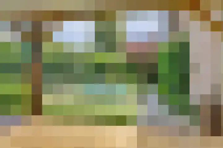 Boekweit 53 Eersel thumbnail 43