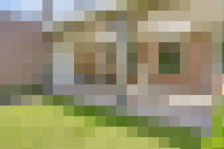 Boekweit 53 Eersel thumbnail 44