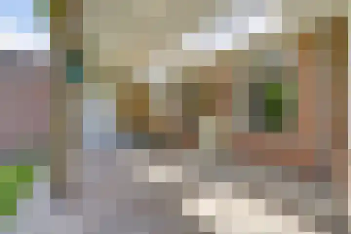 Boekweit 53 Eersel thumbnail 45