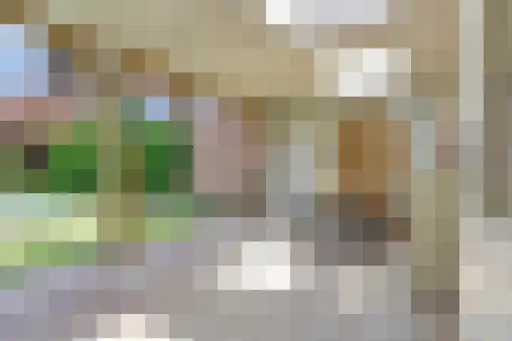 Boekweit 53 Eersel thumbnail 46