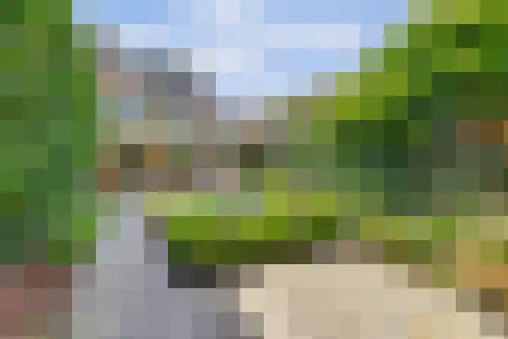 Boekweit 53 Eersel thumbnail 49