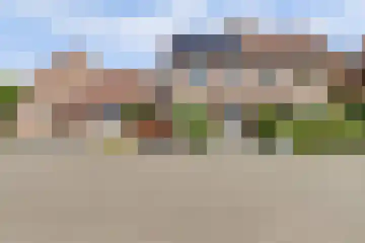 Boekweit 53 Eersel thumbnail 5