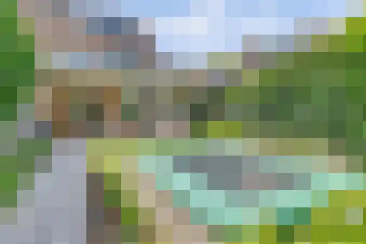 Boekweit 53 Eersel thumbnail 50