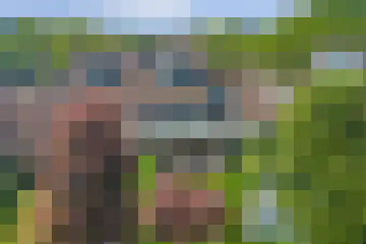 Boekweit 53 Eersel thumbnail 51