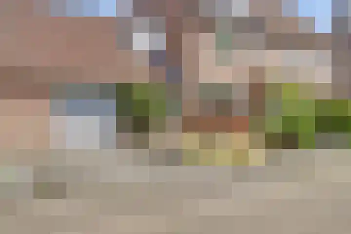 Boekweit 53 Eersel thumbnail 52