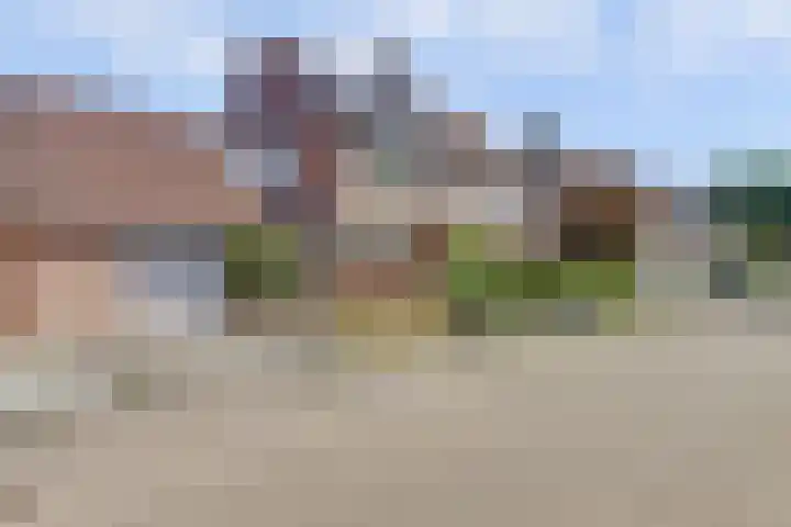 Boekweit 53 Eersel thumbnail 53