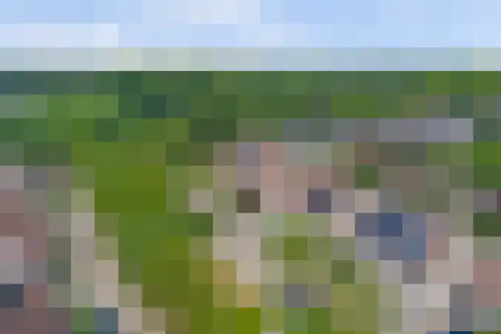 Boekweit 53 Eersel thumbnail 55
