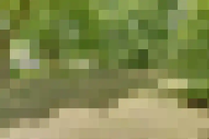 Boekweit 53 Eersel thumbnail 56