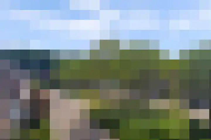 Boekweit 53 Eersel thumbnail 58