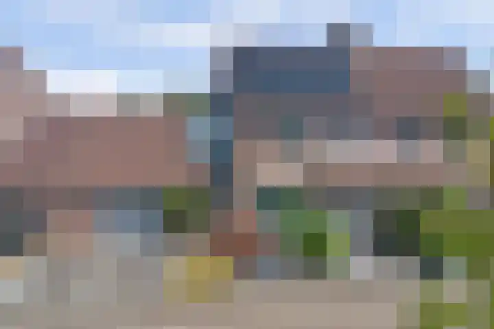 Boekweit 53 Eersel thumbnail 62