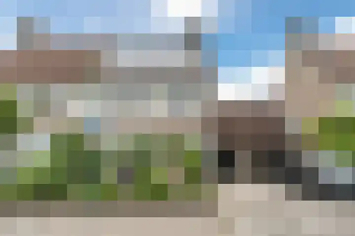 Boekweit 67 Eersel