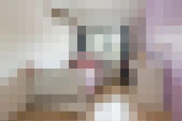 Boekweit 67 Eersel thumbnail 21