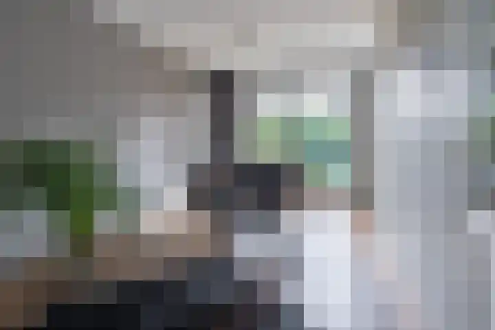 Boekweit 67 Eersel thumbnail 9
