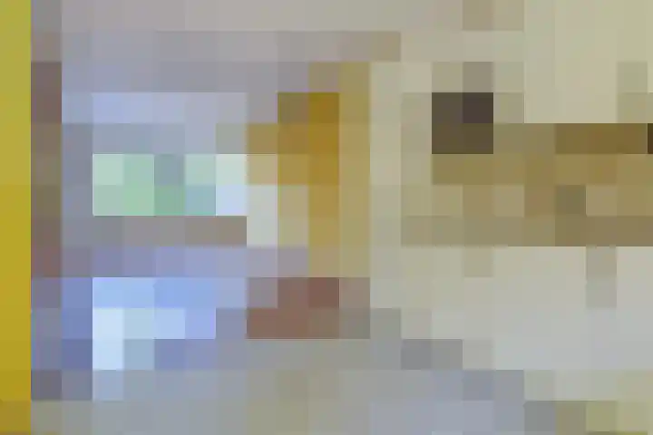 Boekweitakker 15 Zoetermeer thumbnail 11