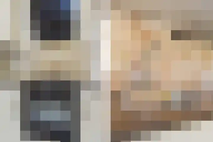 Boekweitakker 15 Zoetermeer thumbnail 13