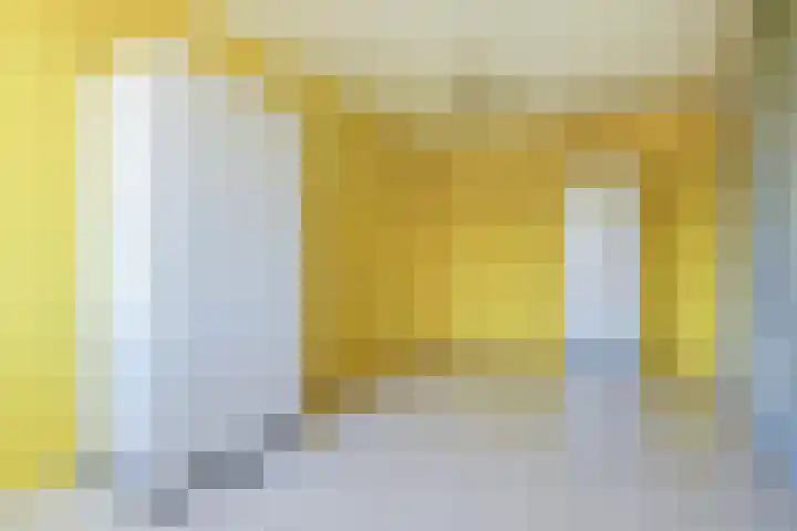 Boekweitakker 15 Zoetermeer thumbnail 17