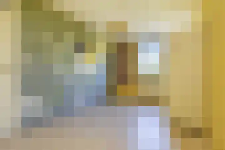 Boekweitakker 15 Zoetermeer thumbnail 18