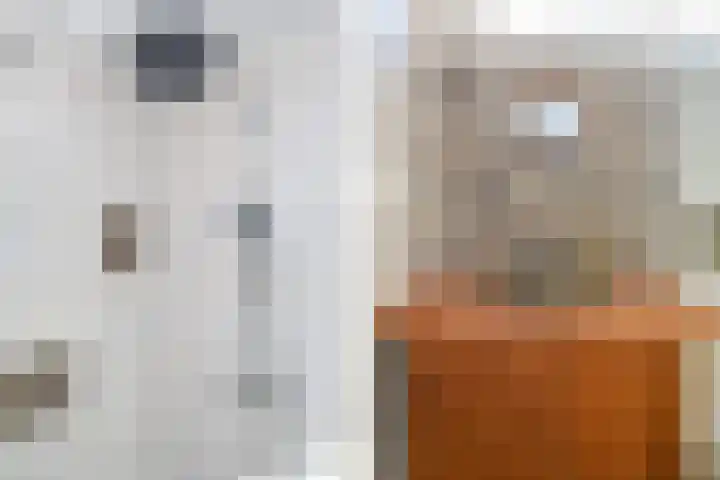 Boekweitakker 15 Zoetermeer thumbnail 25