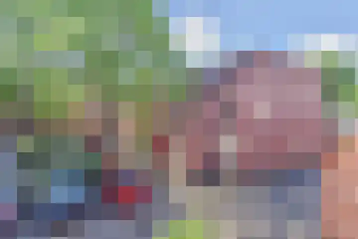 Boekweitakker 15 Zoetermeer thumbnail 26