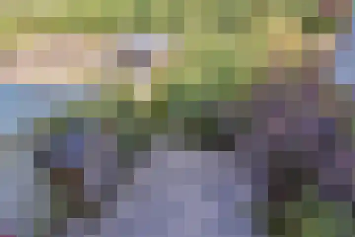 Boekweitakker 15 Zoetermeer thumbnail 27