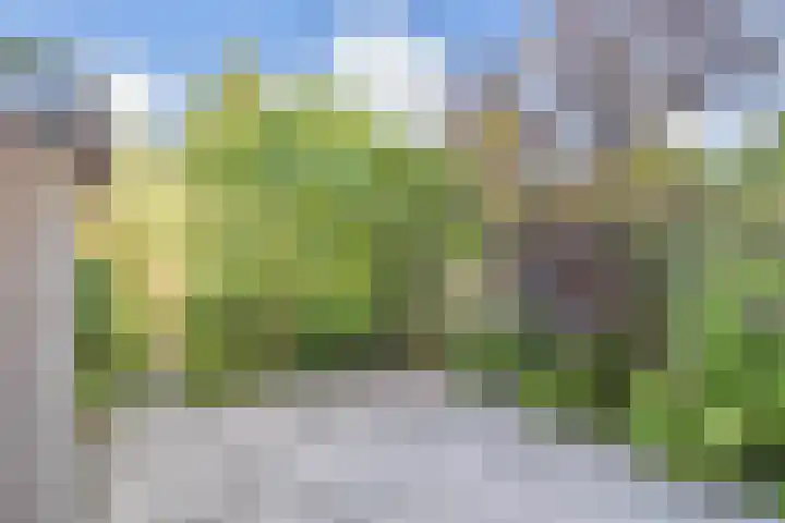 Boekweitakker 15 Zoetermeer thumbnail 28