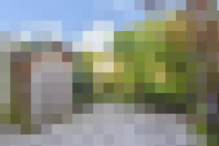Boekweitakker 15 Zoetermeer thumbnail 29