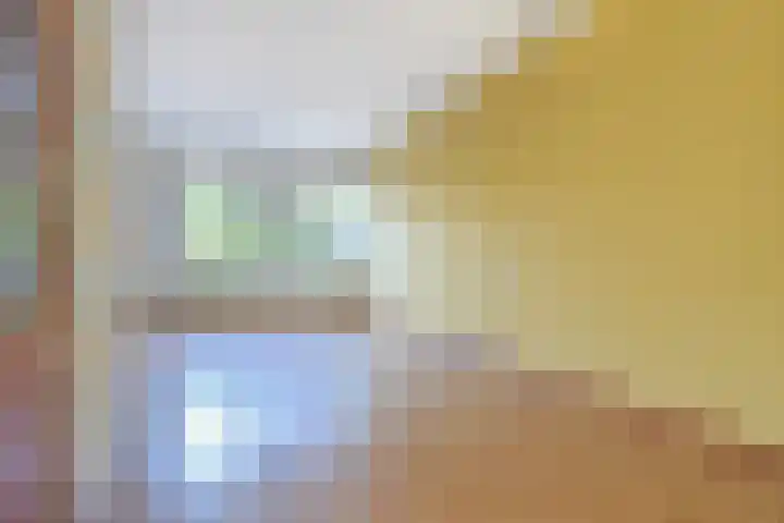 Boekweitakker 15 Zoetermeer thumbnail 8