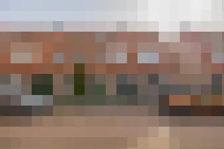 Boekweitakker 19 Pijnacker