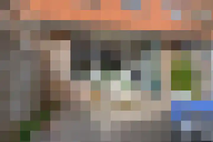 Boekweitakker 19 Pijnacker thumbnail 12